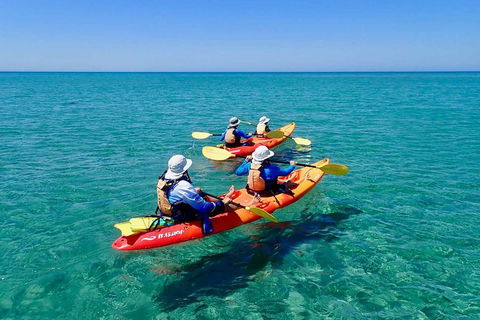 Turtle Tour - Ningaloo Reef Half Day Sea Kayak And Snorkel Tour - Getaway Accommodation 6
