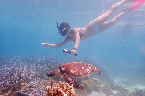 Turtle Tour - Ningaloo Reef Half Day Sea Kayak And Snorkel Tour - Getaway Accommodation 8