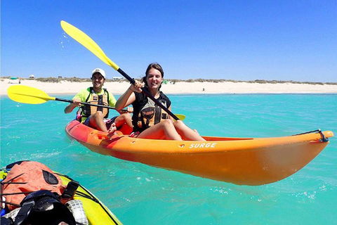 Turtle Tour - Ningaloo Reef Half Day Sea Kayak And Snorkel Tour - Getaway Accommodation 3