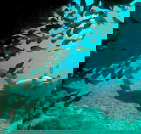 Scuba Dive Ningaloo Reef - Getaway Accommodation