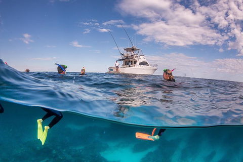 Exclusive Ningaloo Adventure Charter From Exmouth - Getaway Accommodation 0