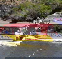 Kalgan Queen Scenic Cruises a four hour sheltered water wildlife tour daily fun. - Getaway Accommodation