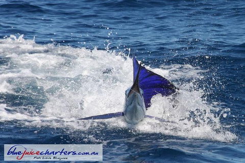 Montebello Island Fishing Charters - Getaway Accommodation 6