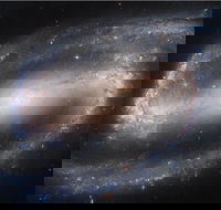 Dusk to Dawn Astronomy Experience at Bullara Station Stay - Getaway Accommodation