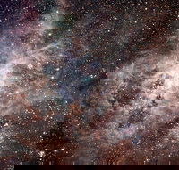 Overnight Astronomy Experience Ningaloo - Yardie Homestead - Getaway Accommodation