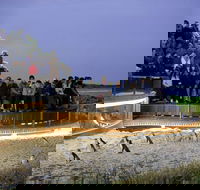 1 Day Private Phillip Island Tour VIP Charter up to 9 People - Getaway Accommodation