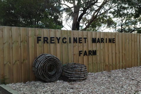 Full-Day Tour One-Way From Launceston To Hobart With Freycinet National Park - Getaway Accommodation 8