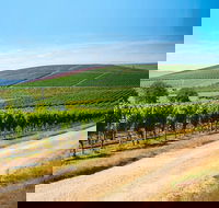 Full Day Tamar Valley Wine Tour - Getaway Accommodation