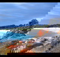 Bay of Fires Day Trip from Launceston - Getaway Accommodation