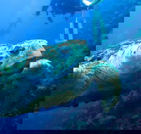 Scuba Dive the S.S. Yongala Wreck on the Great Barrier Reef. - Getaway Accommodation