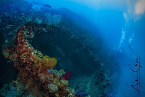 Scuba Dive The S.S. Yongala Wreck On The Great Barrier Reef. - Getaway Accommodation 3