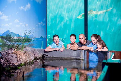 Reef HQ Great Barrier Reef Aquarium General Entry Ticket - Getaway Accommodation 0