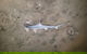 Land Based Game Fishing - thumb 1
