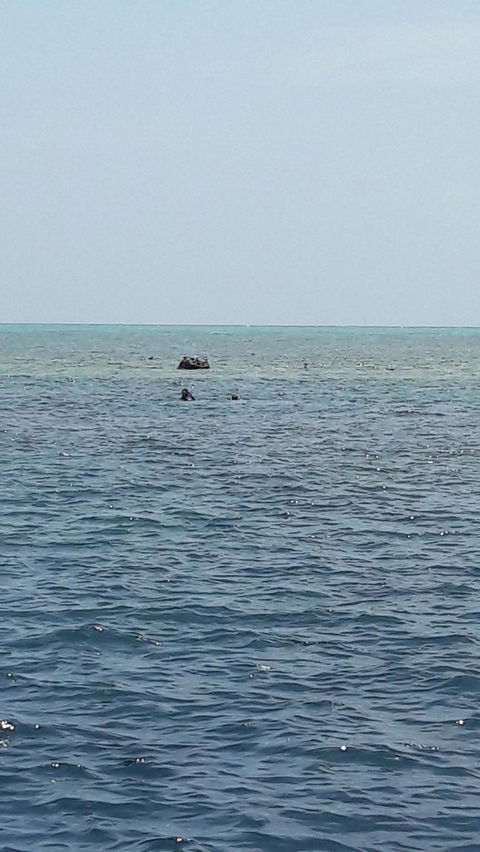 Great Barrier Reef Cruise From Townsville Or Magnetic Island - Getaway Accommodation 2
