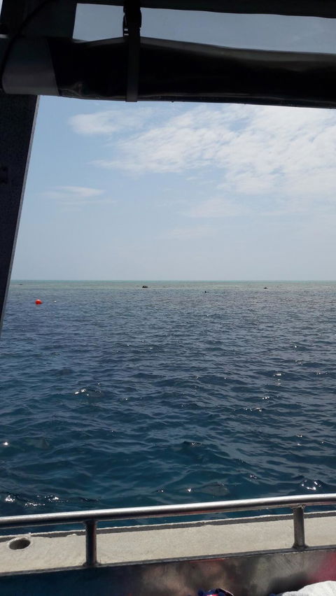 Great Barrier Reef Cruise From Townsville Or Magnetic Island - Getaway Accommodation 3