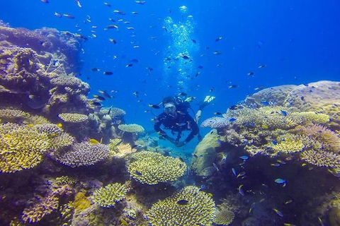 Great Barrier Reef Cruise From Townsville Or Magnetic Island - Getaway Accommodation 12