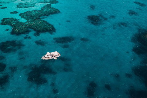 Great Barrier Reef Cruise From Townsville Or Magnetic Island - Getaway Accommodation 7