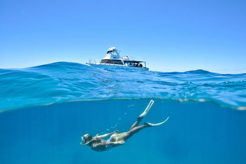 Great Barrier Reef Cruise From Townsville Or Magnetic Island - Getaway Accommodation 10