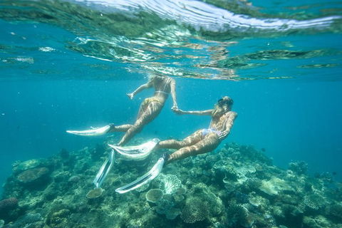 Great Barrier Reef Cruise From Townsville Or Magnetic Island - Getaway Accommodation 8