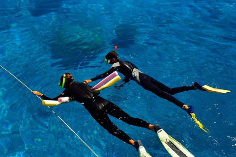 Great Barrier Reef Cruise From Townsville Or Magnetic Island - Getaway Accommodation 13