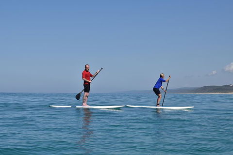 Stand Up Paddle Double Island Lesson - Getaway Accommodation 1
