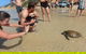 Stand Up Paddle Double Island Lesson - thumb 7