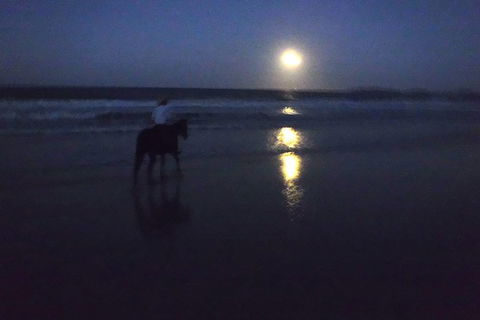 Full Moon Horse Ride At Rainbow Beach - Getaway Accommodation 0