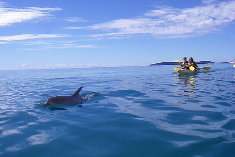 Half-Day Kayak With Dolphins And 4WD Beach Drive From Rainbow Beach - Getaway Accommodation 9