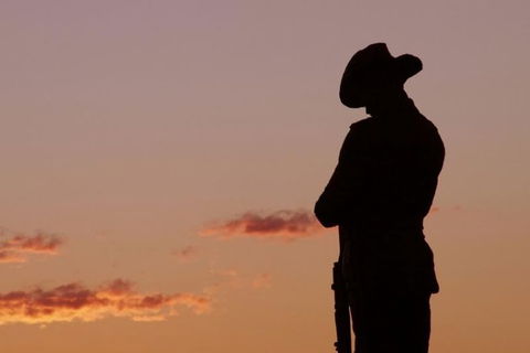 Townsville And The Australian Army: Walking History Tour With Optional City Sightseeing - Getaway Accommodation 0