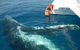 Blue Dolphin Exclusive Whale Watch Encounters - thumb 4