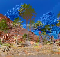 Palm Valley 4WD Tour from Alice Springs - Getaway Accommodation
