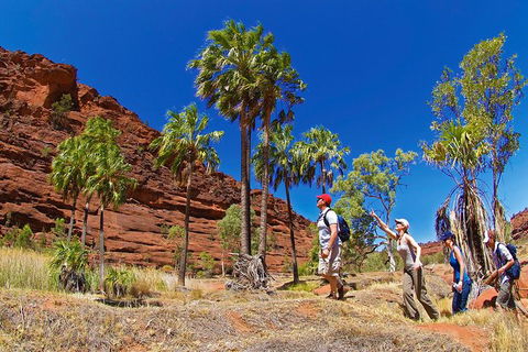 Palm Valley 4WD Tour From Alice Springs - Getaway Accommodation 0