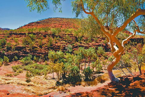 Palm Valley 4WD Tour From Alice Springs - Getaway Accommodation 6