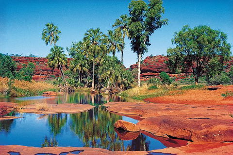 Palm Valley 4WD Tour From Alice Springs - Getaway Accommodation 5