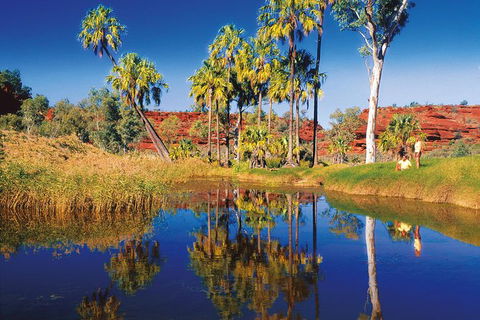 Palm Valley 4WD Tour From Alice Springs - Getaway Accommodation 3