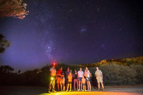 Alice Springs Desert Park Nocturnal Tour - Getaway Accommodation 1
