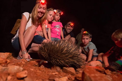Alice Springs Desert Park Nocturnal Tour - Getaway Accommodation 5