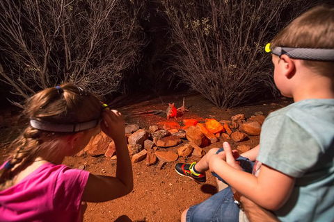 Alice Springs Desert Park Nocturnal Tour - Getaway Accommodation 3