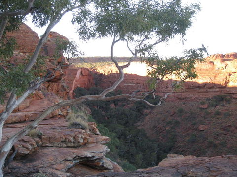 3-Day Uluru And Kings Canyon Camping Experience From Alice Springs Including Outback BBQ Dinner - Getaway Accommodation 1