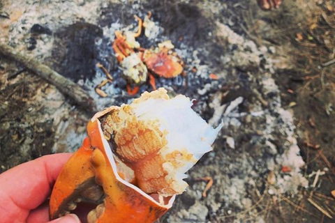 Pot To Plate Adventure - Getaway Accommodation 4