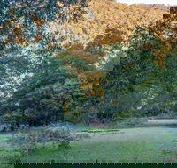 Griffins walking track - Getaway Accommodation
