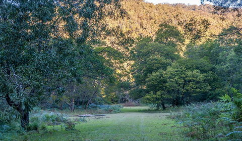 Griffins Walking Track - Getaway Accommodation 0