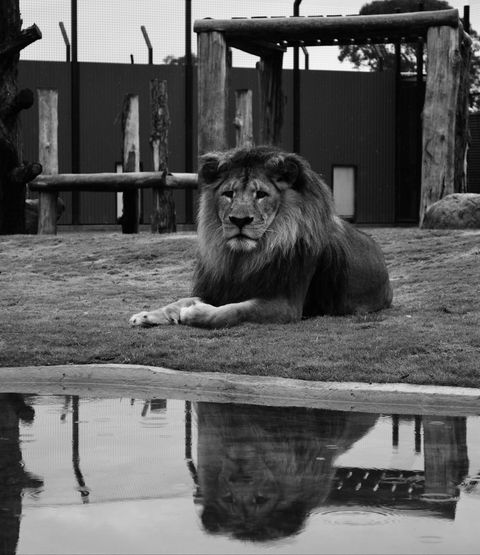 Hunter Valley Zoo - Getaway Accommodation 0