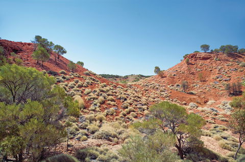 Lark Quarry Conservation Park - Getaway Accommodation 0