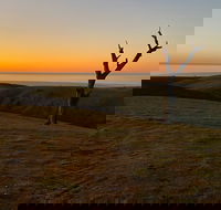 Lessismore Farm Afternoon Farmer - Getaway Accommodation