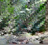 Lyrebird track - Getaway Accommodation