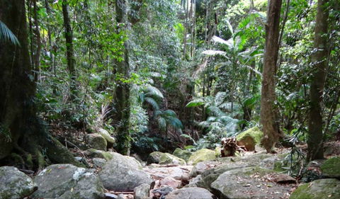 Lyrebird Track - Getaway Accommodation 0
