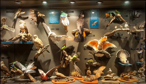 Museum Of Central Australia - Getaway Accommodation 2