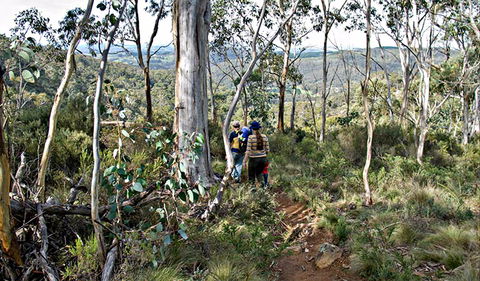 Summits Walking Track - Getaway Accommodation 0