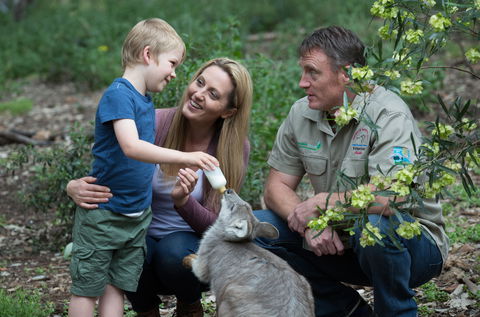 Tamworth Marsupial Park And Adventure Playground - Getaway Accommodation 0